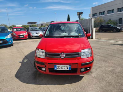 Fiat Panda 1.1 Actual usata