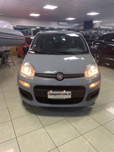 Fiat Panda 1.0 FireFly S&S Hybrid City Life usata