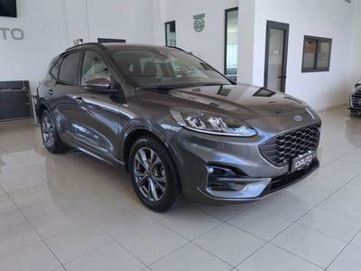 Ford Kuga 1.5 EcoBlue 120 CV 2WD ST-Line usata