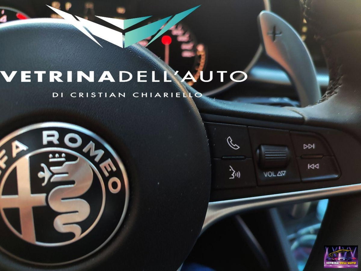 Alfa Romeo Stelvio Stelvio 2.2 Turbodiesel 210 CV AT8 Q4 Lusso (15)