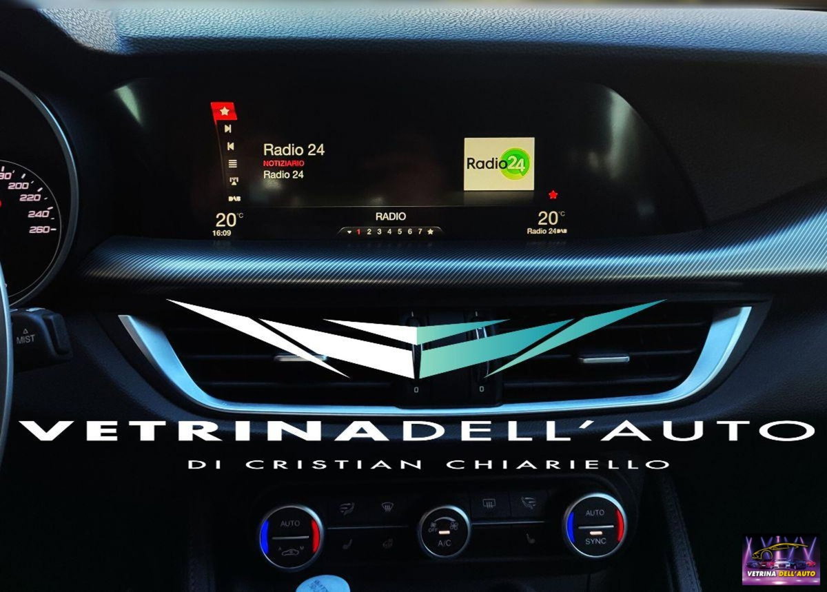 Alfa Romeo Stelvio Stelvio 2.2 Turbodiesel 210 CV AT8 Q4 Lusso (17)