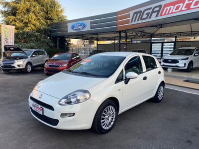 Fiat Punto 1.2 8V 5 porte Street usata