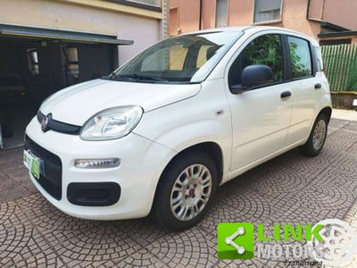 Fiat Panda 1.2 Easy usata