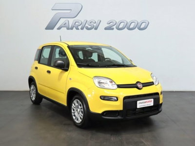 Fiat Pandina 1.0 firefly hybrid s&s 70cv (2)