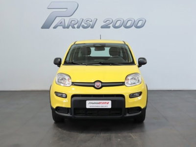 Fiat Pandina 1.0 firefly hybrid s&s 70cv (5)