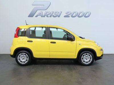 Fiat Pandina 1.0 firefly hybrid s&s 70cv (6)