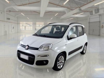 Fiat Panda 1.2 Lounge usata