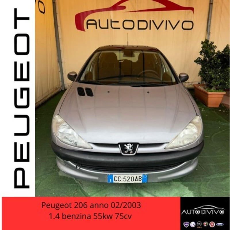 Peugeot 206 5p. Ciel