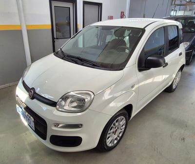 Fiat Panda 1.2 Easy usata