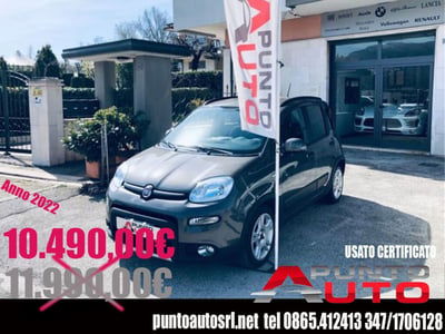 Fiat Panda 1.0 FireFly S&S Hybrid City Cross usata
