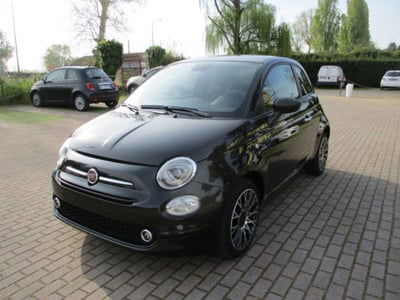 Fiat 500 1.0 Hybrid Red usata
