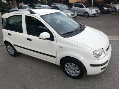 Fiat Panda 1.2 Dynamic usata
