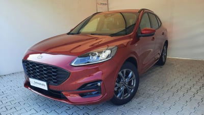 Ford Kuga 1.5 EcoBoost 150 CV 2WD ST-Line usata