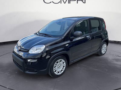 Fiat Panda Cross Cross 1.0 FireFly S&S Hybrid
