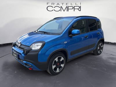 Fiat Panda Cross Cross 1.0 FireFly S&S Hybrid usata