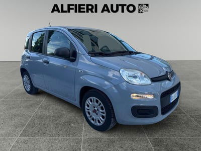 Fiat Panda 1.0 FireFly S&S Hybrid Easy usata
