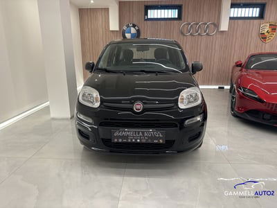 Fiat Panda 1.2 EasyPower Easy usata