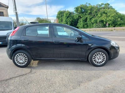 Fiat Punto 1.3 MJT II 75 CV 5 porte Easy usata