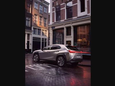 Lexus UX 300h 2.0 Urban 2wd cvt usata