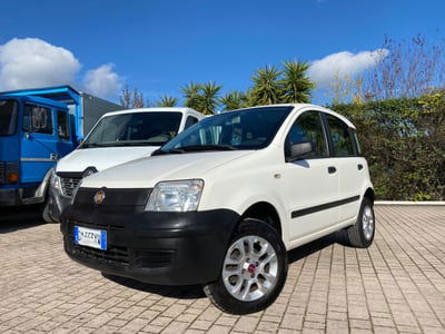 Fiat Panda 1.2 4x4 Climbing usata