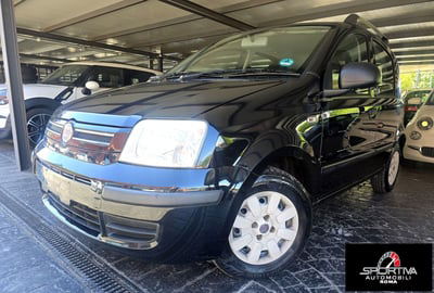 Fiat Panda 1.2 Dynamic usata