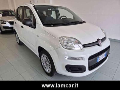Fiat Panda 1.2 Easy usata