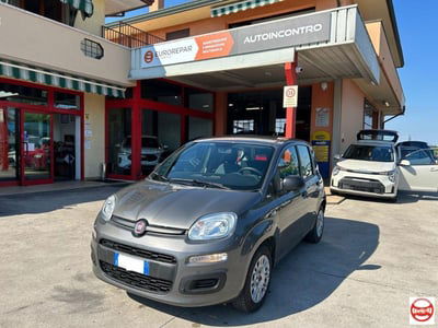 Fiat Panda 1.2 EasyPower Easy usata