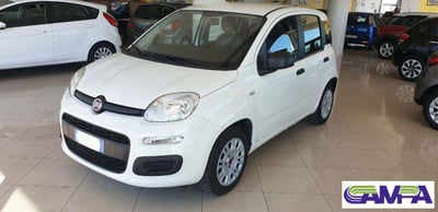 Fiat Panda 1.2 Easy usata