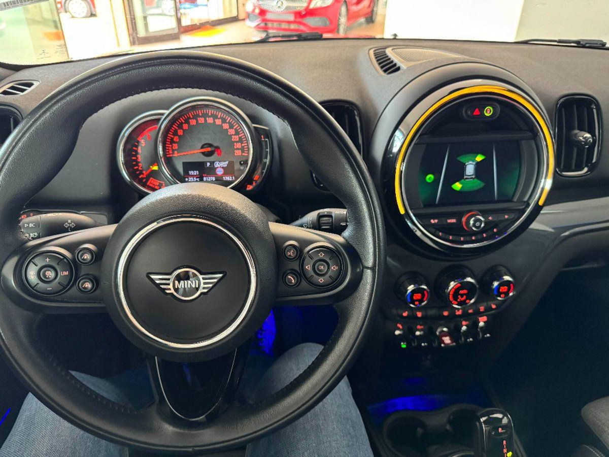 MINI Mini Countryman 2.0 Cooper D Northwood Edition Countryman ALL4 Aut. (10)