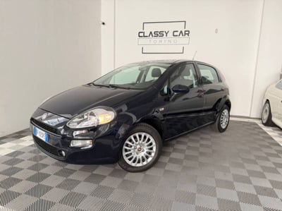 Fiat Punto 1.2 8V 5 porte Street usata