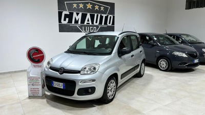 Fiat Panda 1.2 EasyPower Easy usata