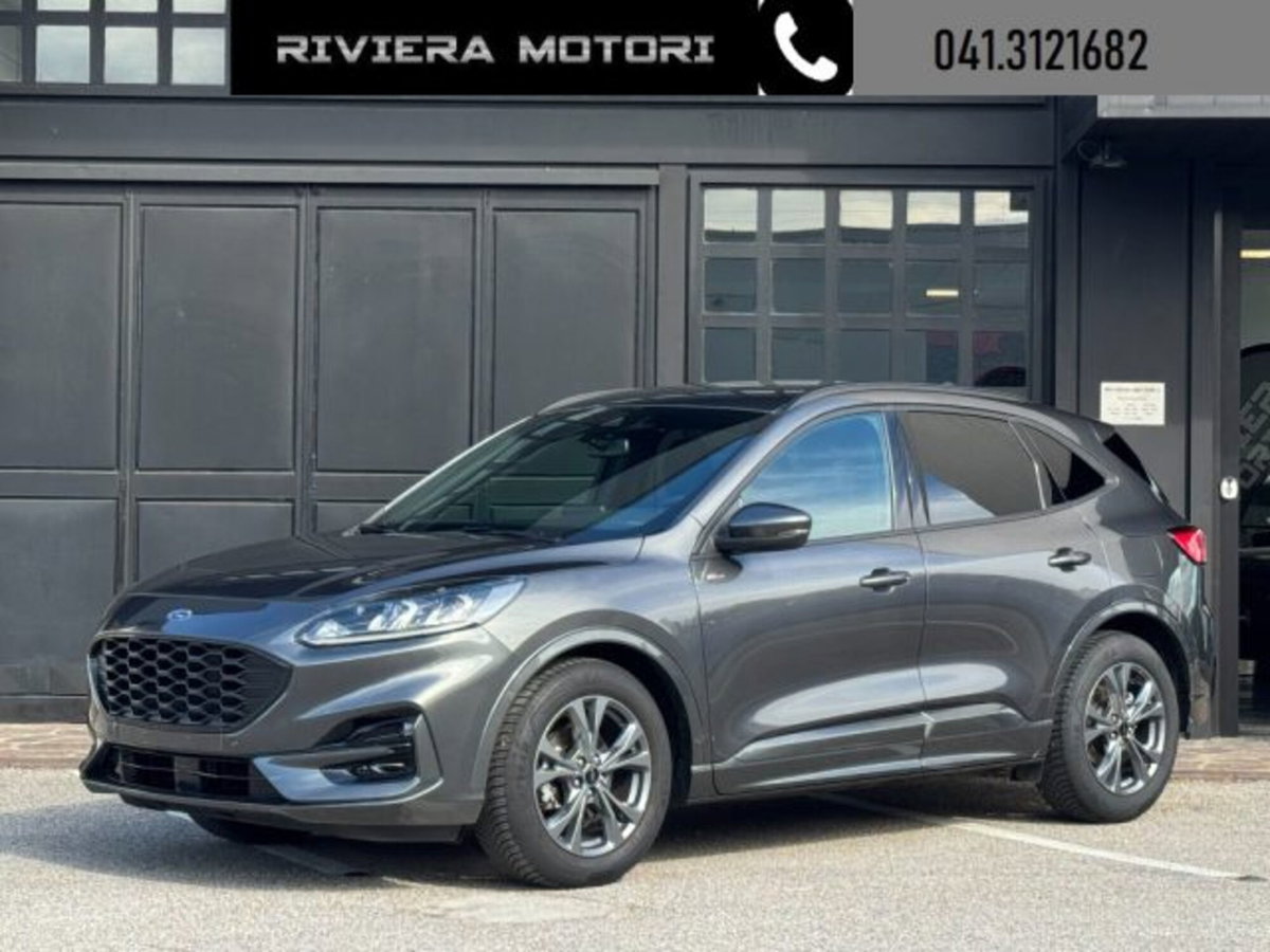 Ford Kuga 2.0 EcoBlue 120 CV aut. 2WD ST-Line X (15)