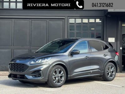 Ford Kuga 2.0 EcoBlue 120 CV aut. AWD ST-Line usata