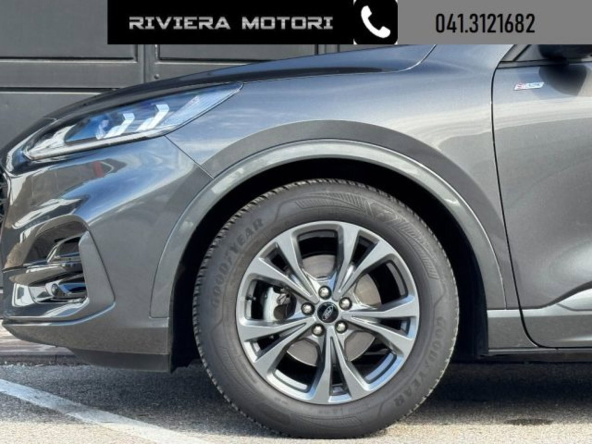Ford Kuga 2.0 EcoBlue 120 CV aut. 2WD ST-Line X (14)