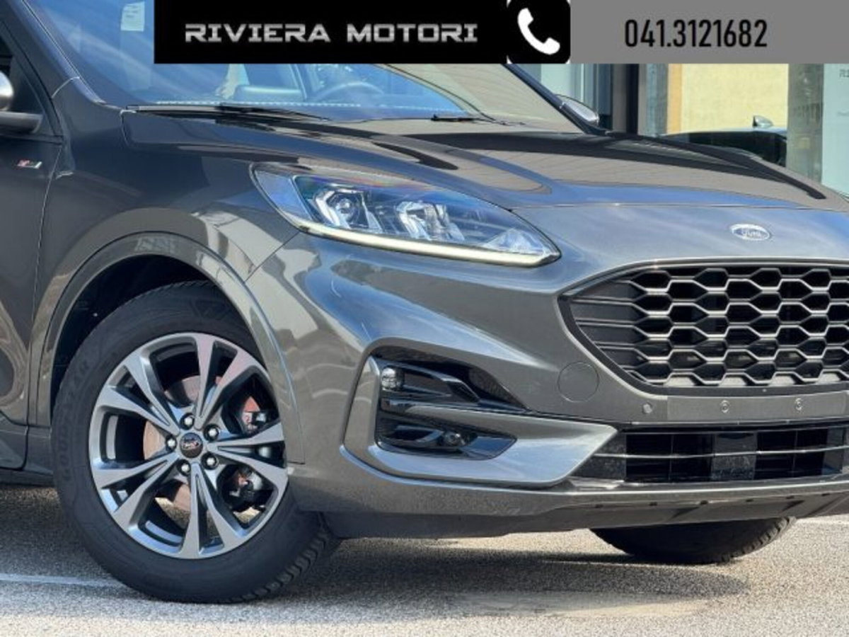Ford Kuga 2.0 EcoBlue 120 CV aut. 2WD ST-Line X (3)