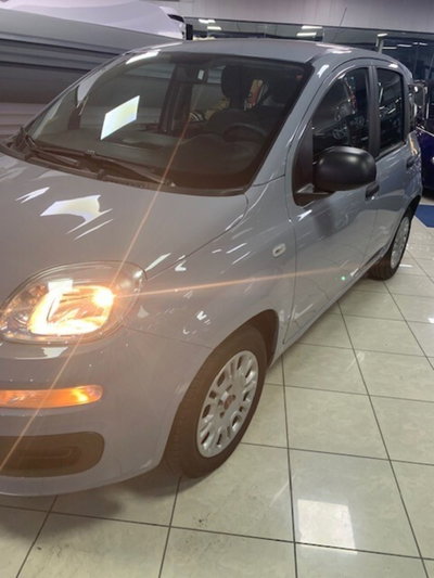 Fiat Panda 1.0 FireFly S&S Hybrid City Life (2)