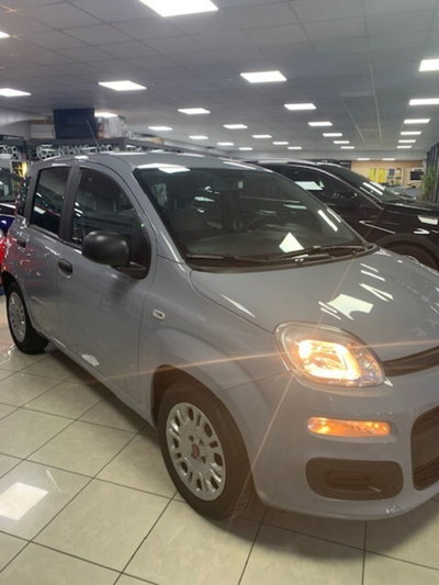 Fiat Panda 1.0 FireFly S&S Hybrid City Life (3)