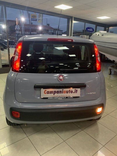 Fiat Panda 1.0 FireFly S&S Hybrid City Life (4)