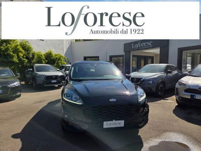 Ford Kuga 2.0 EcoBlue 120 CV aut. 2WD ST-Line X usata