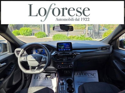Ford Kuga 2.0 EcoBlue 120 CV aut. 2WD ST-Line X (11)