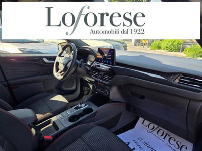 Ford Kuga 2.0 EcoBlue 120 CV aut. 2WD ST-Line X (14)