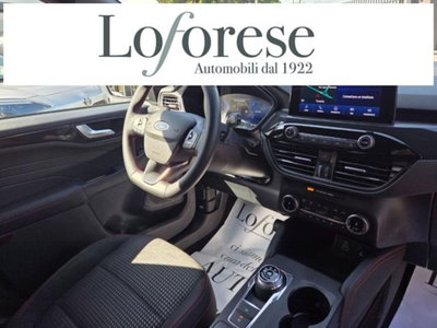 Ford Kuga 2.0 EcoBlue 120 CV aut. 2WD ST-Line X (15)