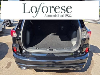 Ford Kuga 2.0 EcoBlue 120 CV aut. 2WD ST-Line X (16)