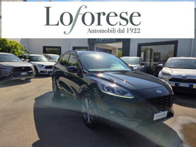 Ford Kuga 2.0 EcoBlue 120 CV aut. 2WD ST-Line X (2)