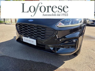 Ford Kuga 2.0 EcoBlue 120 CV aut. 2WD ST-Line X (3)