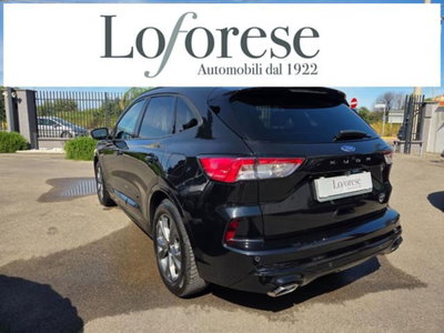 Ford Kuga 2.0 EcoBlue 120 CV aut. 2WD ST-Line X (4)