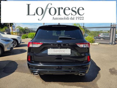 Ford Kuga 2.0 EcoBlue 120 CV aut. 2WD ST-Line X (5)