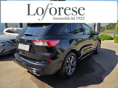 Ford Kuga 2.0 EcoBlue 120 CV aut. 2WD ST-Line X (6)