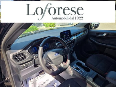 Ford Kuga 2.0 EcoBlue 120 CV aut. 2WD ST-Line X (8)