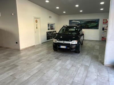 Fiat Panda 1.1 Active usata
